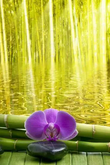 Is incense aromatherapy: Discover the soothing scents and therapeutic benefits of incense for relaxation and stress relief