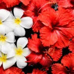 Scented accessories with DIY instructions: learn how to make aromatherapy jewelry at home