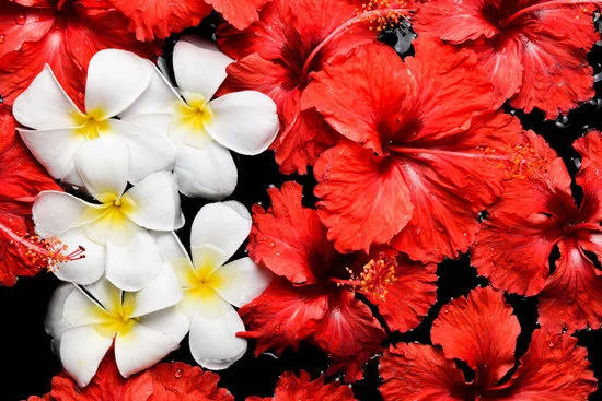 Scented accessories with DIY instructions: learn how to make aromatherapy jewelry at home