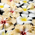 Tea tree oil is known for its various therapeutic benefits in aromatherapy