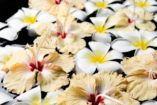 Tea tree oil is known for its various therapeutic benefits in aromatherapy