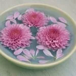 Aromas Aromatherapy Diffuser Bundle Relaxing Aromas: Aromatherapy Diffuser Bundle for Home Essential Oils