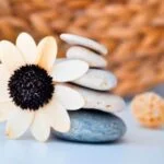 Asia Pacific Aromatherapy School: Empowering Students with Traditional and Modern Aromatherapy Practices