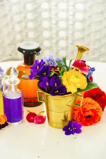 Adam Ruins Everything discusses Aromatherapy Therapy, debunking myths and misconceptions about essential oils