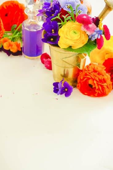 Aromatherapy Dropship Application 3 AROMATHERAPY DROPSHIP APPLICATION: Earning from Essential Oils