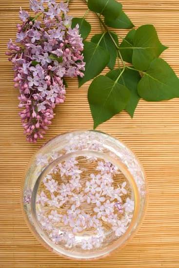 Bath Body Works Aromatherapy Candle 7 Relaxing BATH BODY WORKS AROMATHERAPY CANDLE for a soothing, stress-relieving experience