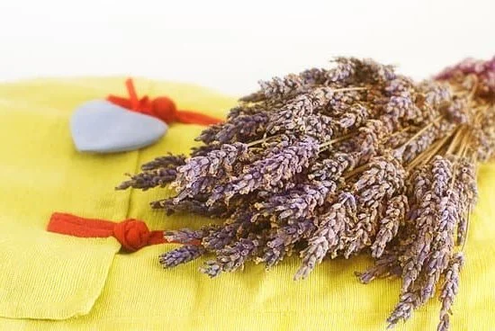 Aromatherapy Soothing Scents 5 Aromatherapy Soothing Scents: Calming Lavender and Eucalyptus Essential Oils