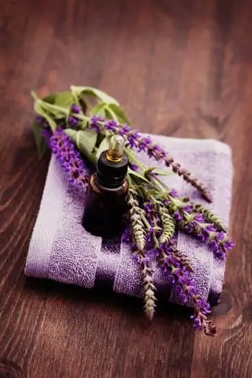 Explore Aromatherapy Shop Knew: Natural scents for wellness and harmony