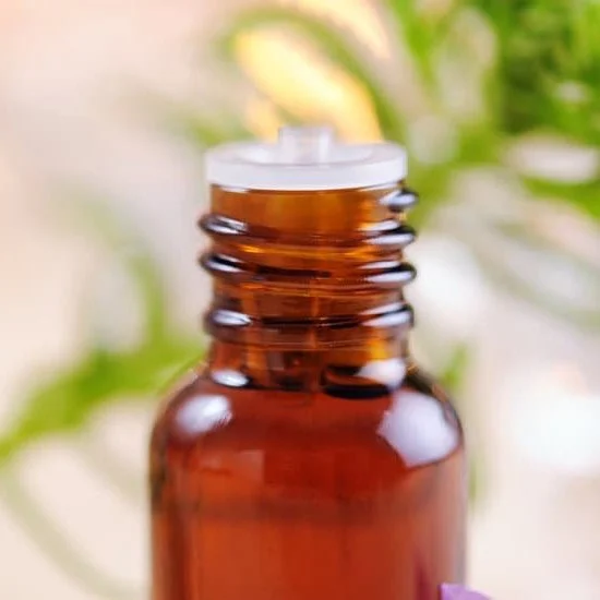 Discover the beauty of Aromatherapy Garden Plants: Lavender, Rosemary, and Eucalyptus for a calming retreat