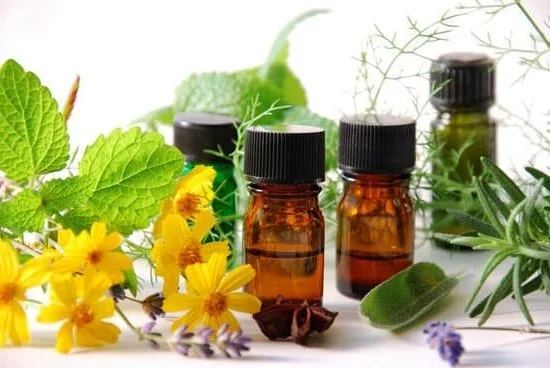 Aromatherapy Uses Clary Sage 1 Enhance relaxation with Aromatherapy Uses Clary Sage's calming properties