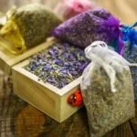 Common Aromatherapy Essential Oils Common Aromatherapy Essential Oils: Lavender, Peppermint, and Eucalyptus for Relaxation and Wellness