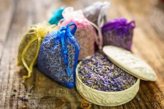 Centre of Excellence Aromatherapy: Tranquil oasis offering expert aromatherapy services and training