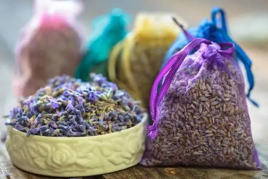 An assortment of natural essential oils and herbs used as Aromatherapy Ingredients for relaxation and healing