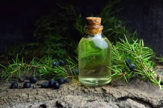 AROMATHERAPY SCHOOL | Discover the healing power of essential oils with our immersive I 20 program