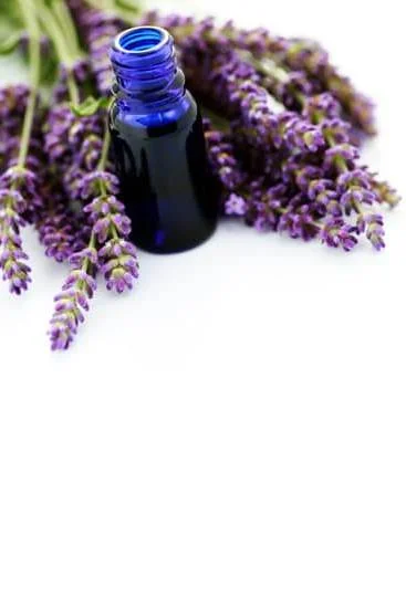 Aromatherapy for Colds 1 Natural Aromatherapy Remedy for Colds