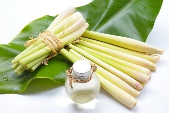 Healthy Aromatherapy 3 Invigorating scents to promote wellness and relaxation - Healthy Aromatherapy