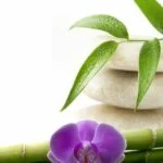 Best Aromatherapy Oils for Alzheimer& 39 Top 10 Best Aromatherapy Oils for Alzheimer's: A Comprehensive Guide