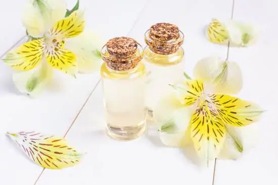 Discover fascinating aromatherapy facts and findings in our comprehensive guide