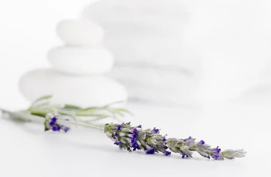 3D Aromatherapy Better Homes Air Diffuser 1 3D Aromatherapy Diffuser by Better Homes for Improved Air Quality