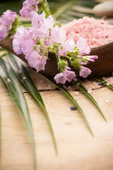 Can Pennyroyal Be Used for Aromatherapy 1 Using Pennyroyal for Aromatherapy: Benefits, Risks, and Precautions