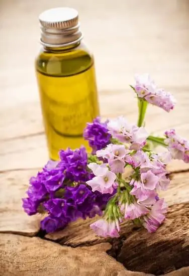 Aromatherapy Glass Roller Bottles 7 Essential oil Aromatherapy Glass Roller Bottles for calming and soothing on the go