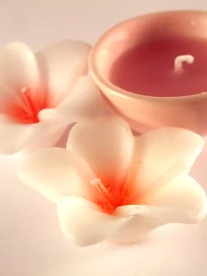 Can You Microwave Aromatherapy Oils 1 Safe to Heat: Aromatherapy Oils for Microwave Use