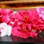 Lavender Aromatherapy Sleep Relax with LAVENDER AROMATHERAPY SLEEP - Natural soothing scent for better sleep and relaxation