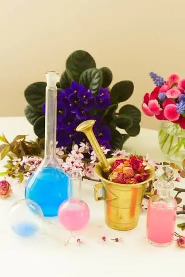 Does Aromatherapy Work for Relieve Stress 1 Does Aromatherapy Work: A Stress-Relief Solution