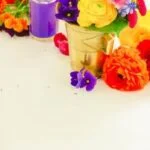 Rainbow Vacuum Aromatherapy with Essential Oils: Revitalize Your Home