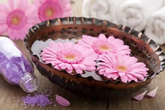 Discover if Aromatherapy Oils Really Work