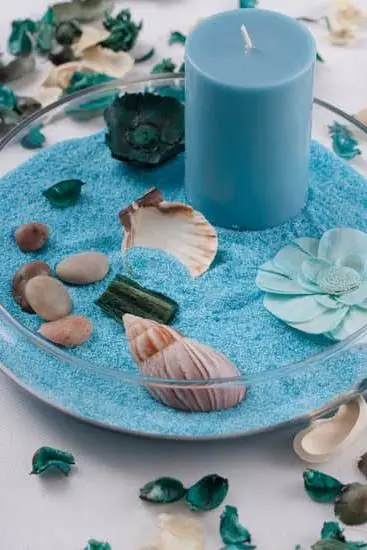 Does Aromatherapy Work on Fish 1 Effectiveness of aromatherapy on fish