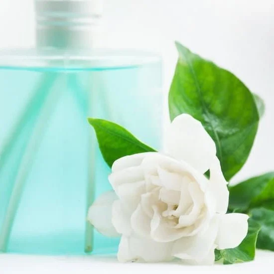 Can Clove Oil for Aromatherapy Alao Be Used to Toothache 3 can clove oil for aromatherapy alao be used to toothache