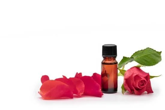 Calming aromatherapy for anxiety in dogs: Lavender-infused solution for soothing canine stress