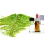 Exploring aromatherapy benefits without sense of smell: holistic healing alternatives