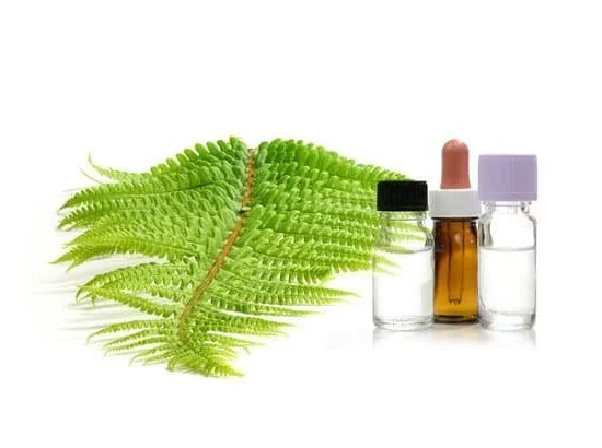 Exploring aromatherapy benefits without sense of smell: holistic healing alternatives