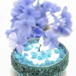 Bath and Body Works Aromatherapy Oil: Bergamot and Coriander blend for relaxation and rejuvenation