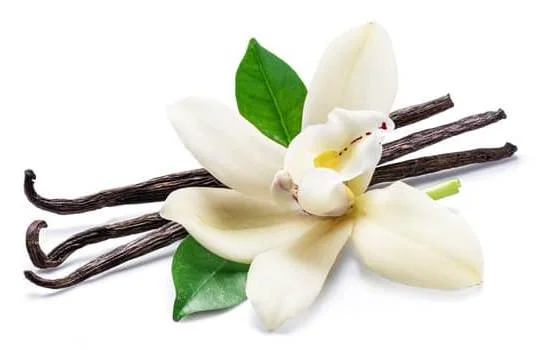 Relaxing Aromatherapy for Deep Sleep - Can Aromatherapy Make You Sleep
