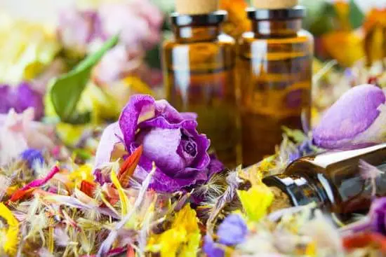 Aromatherapy Boston Ma 5 Relax and rejuvenate with Aromatherapy in Boston, MA - an oasis of tranquility in the city