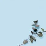 Best Essential Oil Aromatherapy Diffuser Best essential oil aromatherapy diffuser for relaxation and wellness - elevate your space with this soothing aromatherapy device