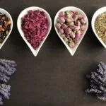 Non-toxic Aromatherapy Diffuser: Do Gurunanda Ultrasonic Diffusers have BPA