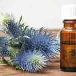 Safe Aromatherapy for Pets: What You Need to Know