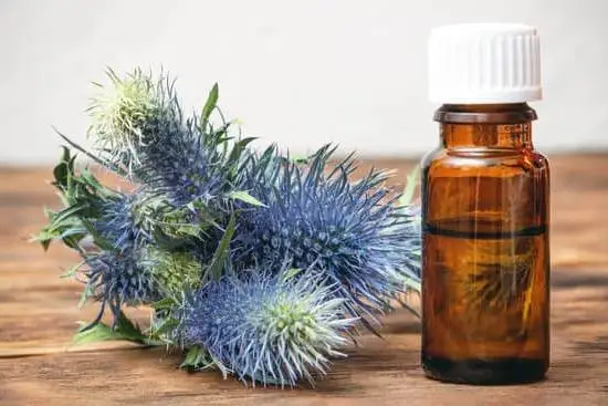 Safe Aromatherapy for Pets: What You Need to Know