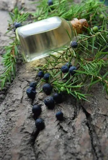 Running an Aromatherapy Business: Licensing Requirements