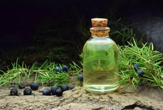 Invigorating Eucalyptus Aromatherapy: Soothing benefits and potential for a runny nose relief