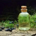 Discover the calming TEA TREE OIL BENEFITS AROMATHERAPY for stress relief and improved well-being