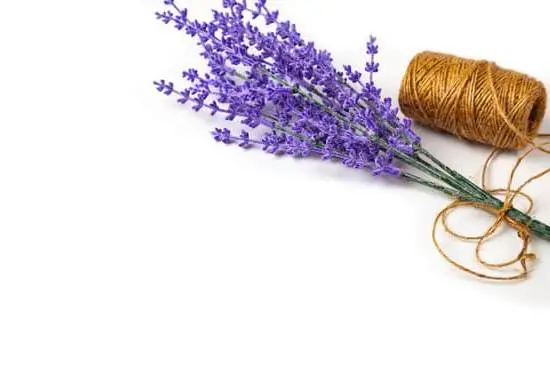 DIY Aromatherapy Lavender Oil: Natural calming scent made at home with simple ingredients