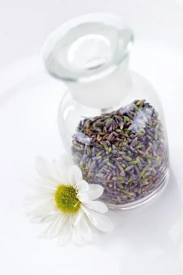 Relaxing HOSPICE AROMATHERAPY: Comforting essential oil blends for end-of-life care
