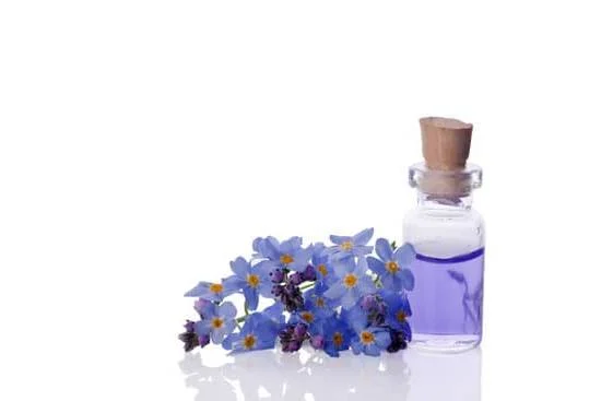 Can Dogs Benefit From Aromatherapy 1 Can dogs benefit from aromatherapy - Aromatic oils used safely can calm and support well-being in dogs