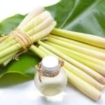 Invigorating Citrus and Lavender blend - Happy Home Aromatherapy Blends: Relax and Refresh Naturally