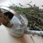 Relaxing Aromatherapie Body Wash - Lavender and Peppermint Infused for a Soothing Shower Experience